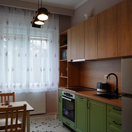 Ami'S Corner Lovely Family And Couple'S Home Сібіу Екстер'єр фото